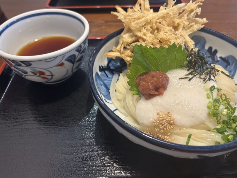 けんたろうのうどん